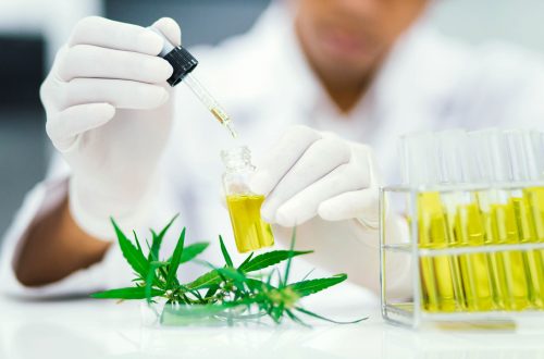 Omdefinering Av Renhet_ CBDRevo.no's Banebrytende THC-Frie CBD-Innovasjoner